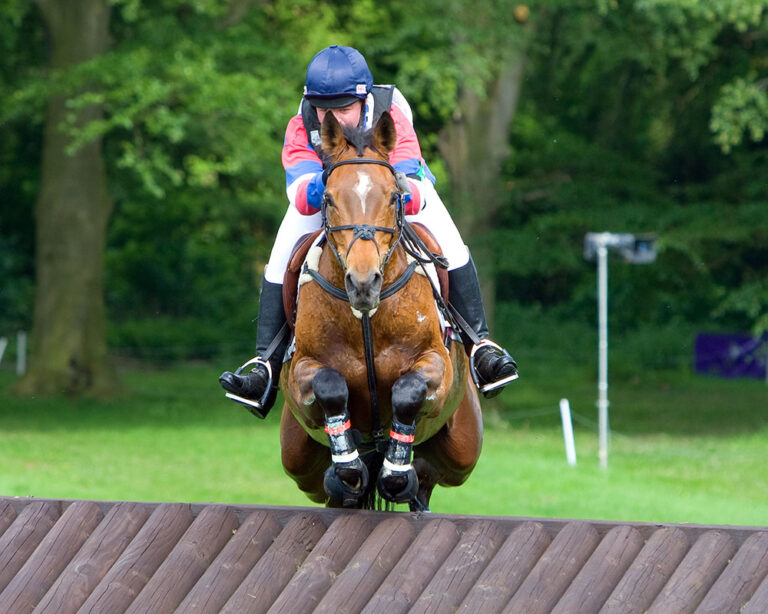 CrossCountryHorseJumping_AdobeStock_14948235