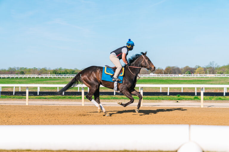 Jockey Breezing a Thoroughbred Race Horse for Exercise on a Sunny Day