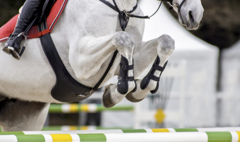 Female rider jumping an obstacle on chestnut horse