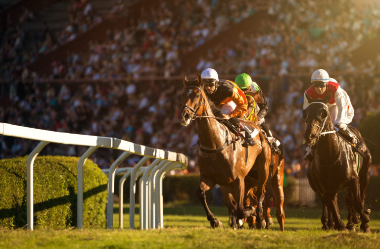 Two jockeys during horse races on their horses going towards fin