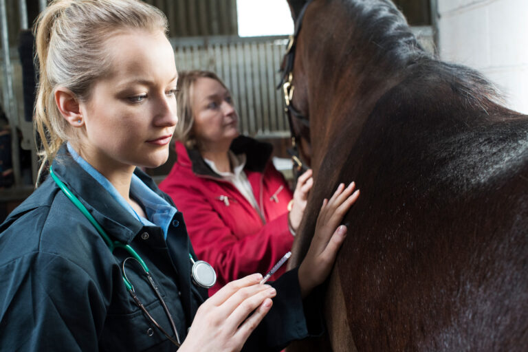 Female Vet Giving Injection To Horse In Stable