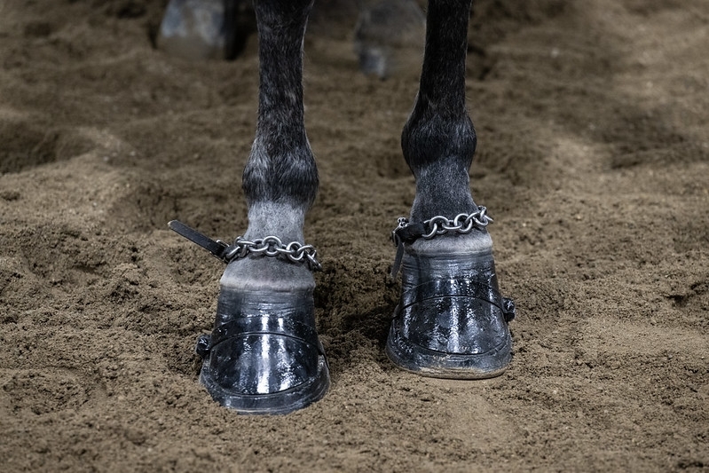 Sored horses will be prohibited from competing under the HPA