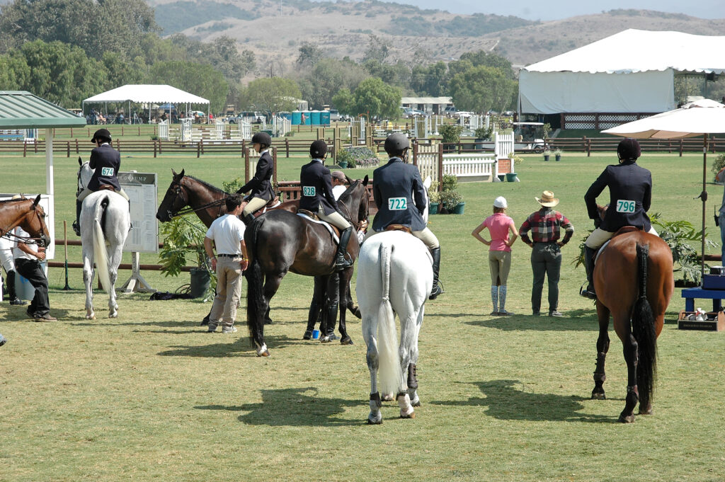 Horses at a horse show, where EHV-1 and EHM can potentially spread. 