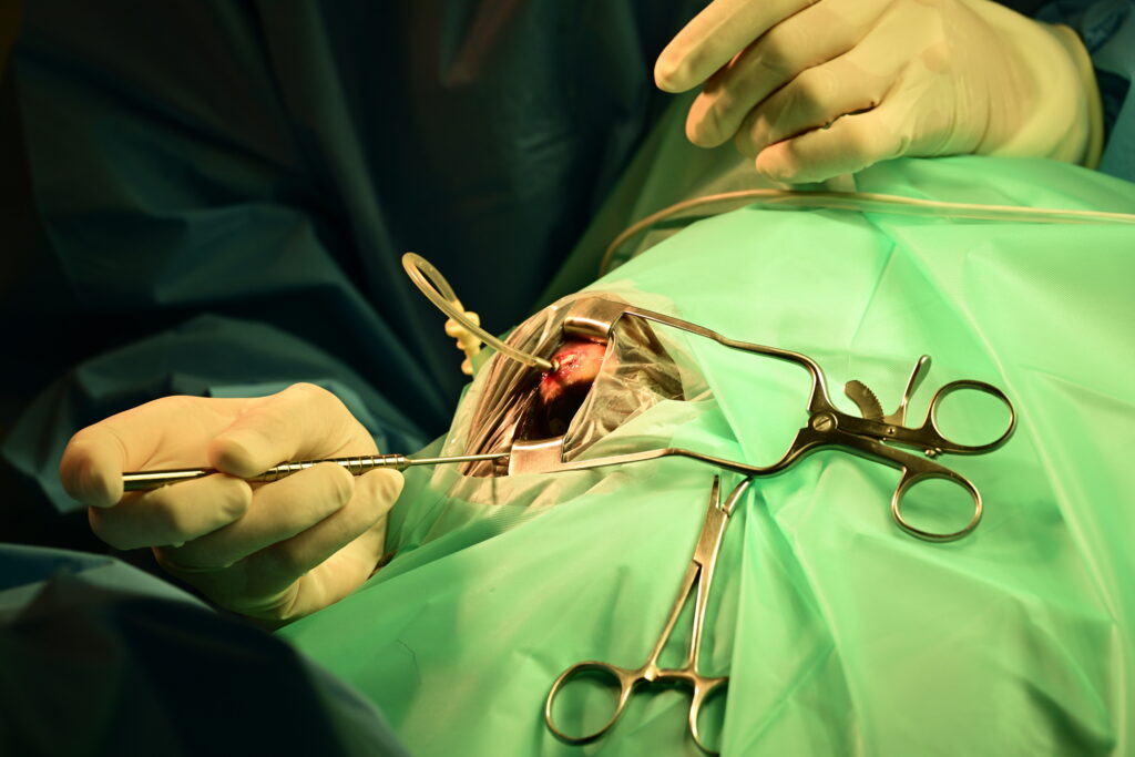 Orthopedic implantation in equine surgical setting, a case in which antimicrobial usage might be indicated.