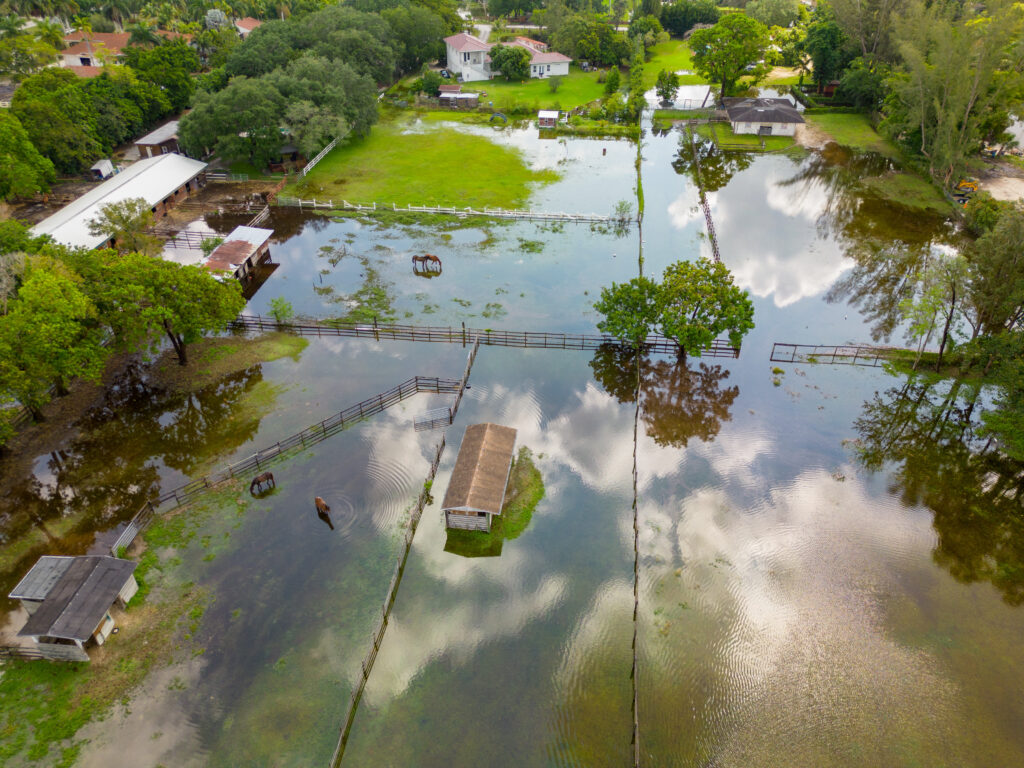 Flooding on a horse ranch, which causes an uptick in equine infectious diseases such as EEE and WNV. 