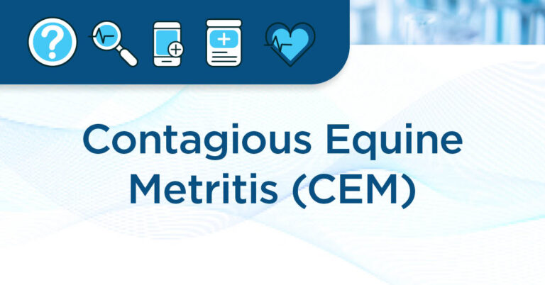 EM Fact Sheet article page header-1200x628