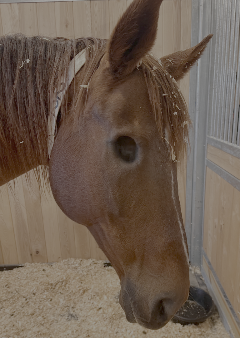 Enucleation