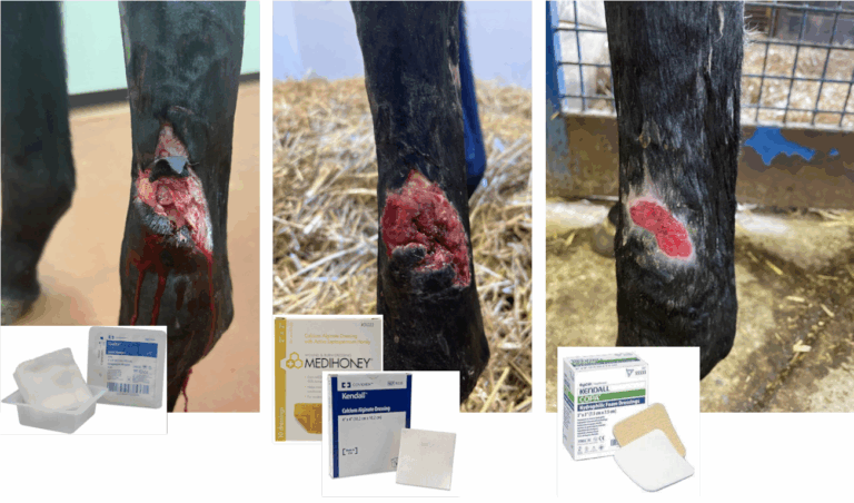 Wound dressings Stewart