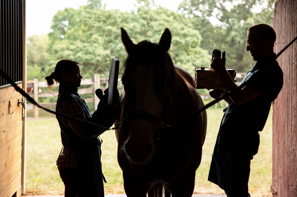 Veterinarian taking neck radiographs on a horse to diagnose CVSM, a noninfectious neurological disease. 
