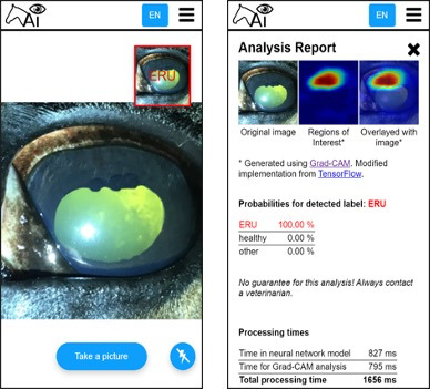 Equine A-Eye web app, an example of AI in equine practice. 