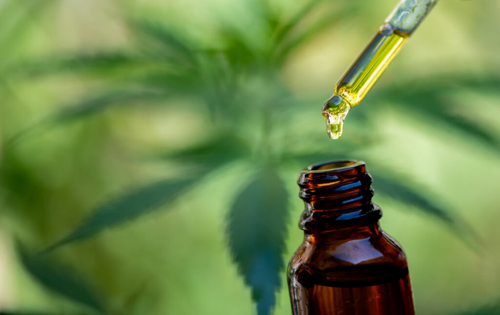 CBD. Researchers are studying the effects of CBD on equine joint inflammation.