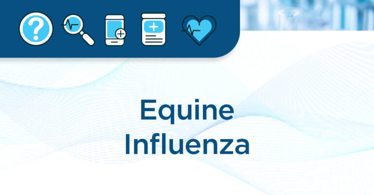 EM Fact Sheet article page header-1200x628-Equine Influenza