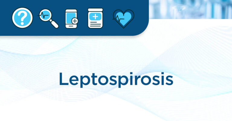EM Fact Sheet article page header-1200x628-Lepto