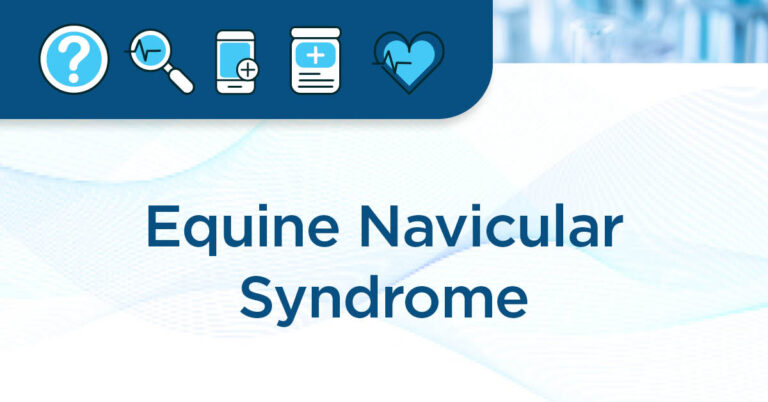 EM Fact Sheet article page header-1200x628-navicular