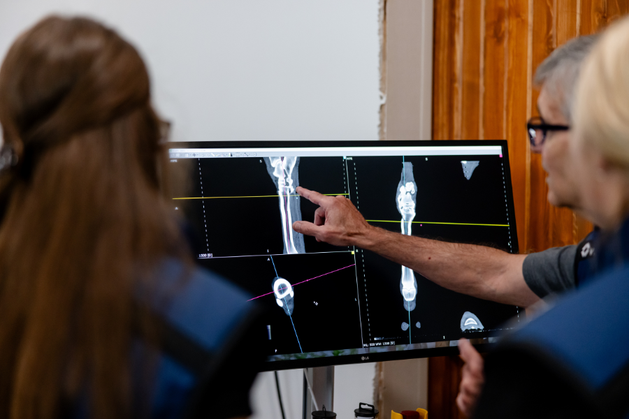 CT training session at Wisconsin Equine Clinic and Hospital. 