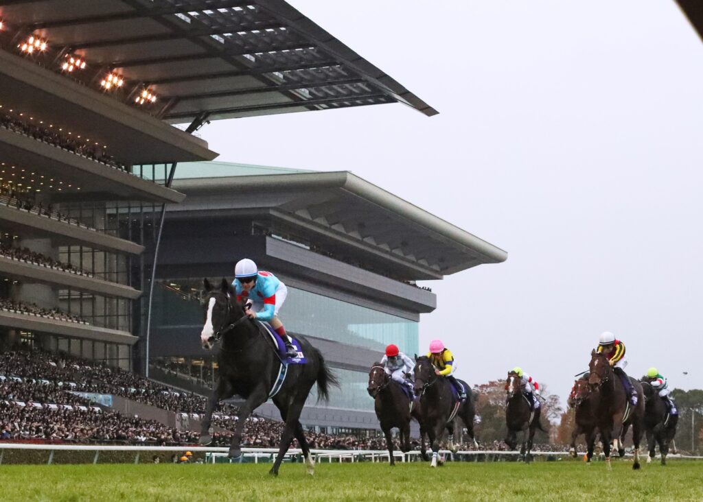 Racehorses galloping on the track. Racehorse safey is featured in EVJ's special collection.