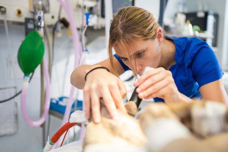 A Valuable Skill: Student Practices Surgical Prep on a Sedated Dog