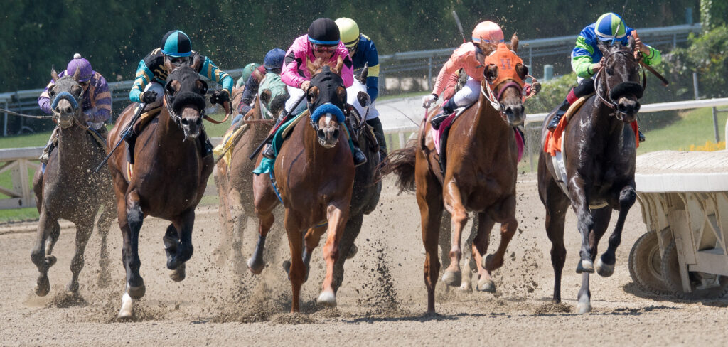 Racehorses racing on a track, representing racehorse safety initiatives.