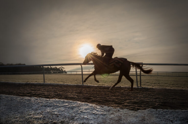 A racehorse in training on Newmarket gallops on a cold morning in winter