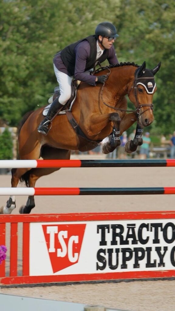 "Mojo" competing in Grand Prix show jumping after recovering from emergency colic surgery.