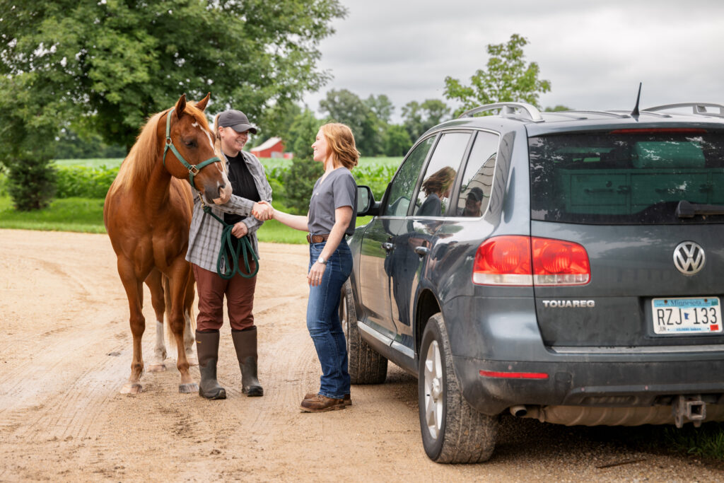 Rural practitioner and horse owner