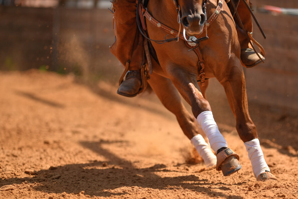 Horse competing in Western event