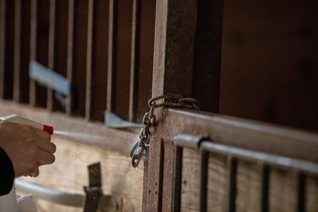 Veterinary disinfection in horse barn.