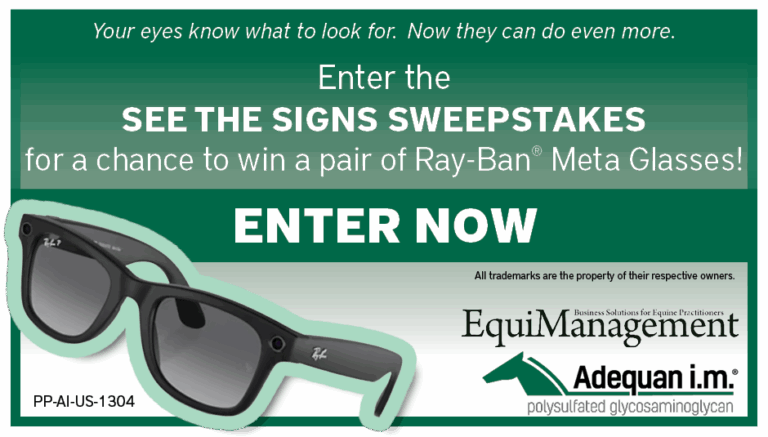 EQM_RayBansGiveaway_940 x 535