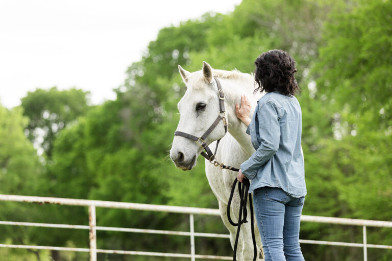 After walk around paddock, woman pets horse