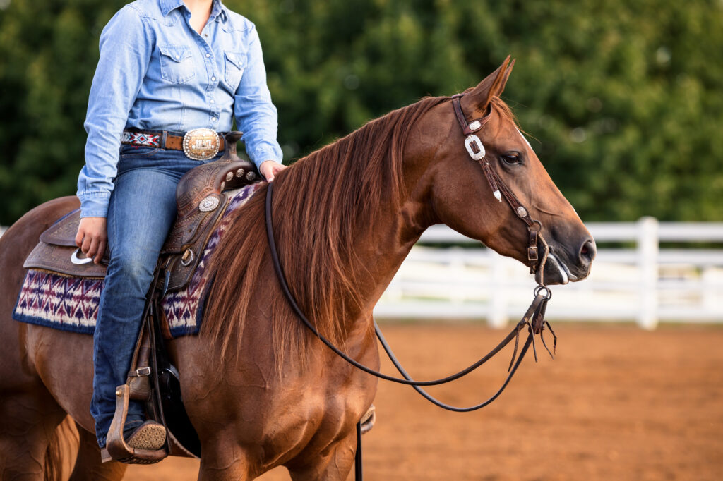 Equine athlete, at risk of an equine endocrine disorder.