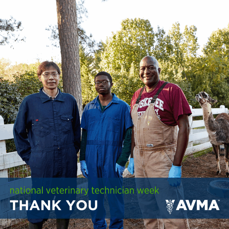 vet-tech-week-2-2024-1080x1080