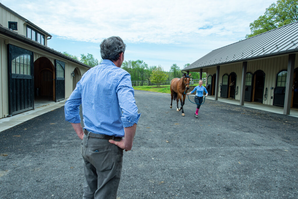 Veterinarian evaluating a horse trotting for an equine soft tissue injury.