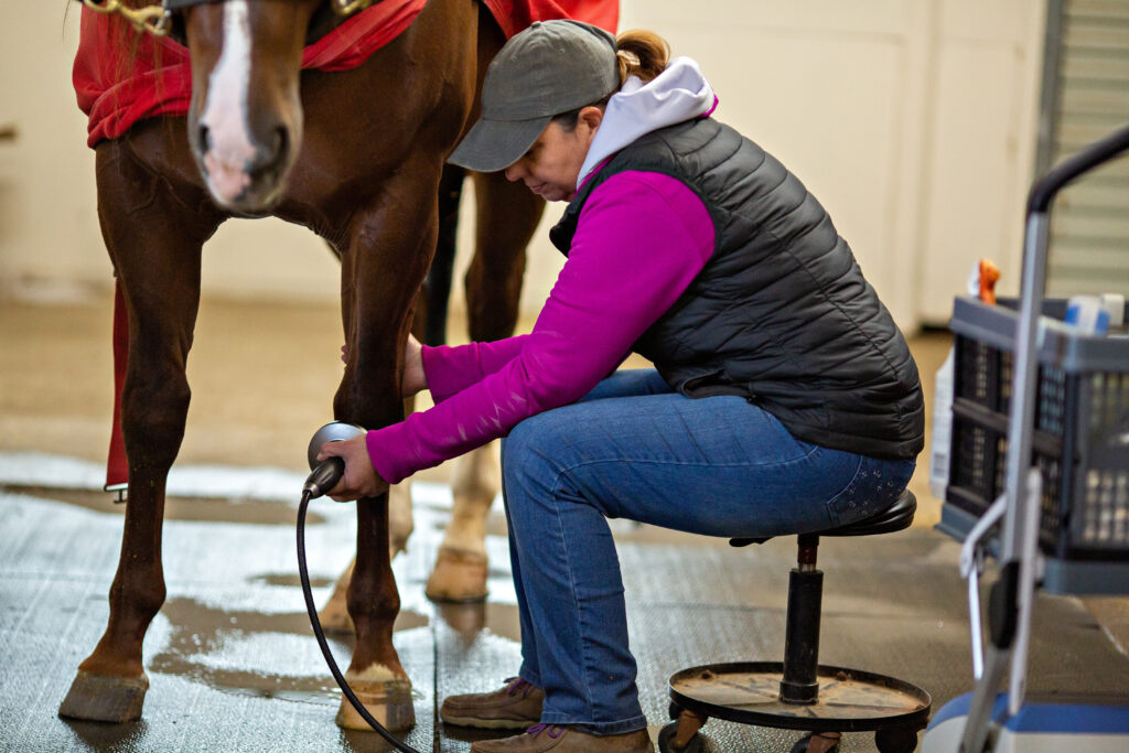 Veterinarian on adjustable stool for good ergonomics.