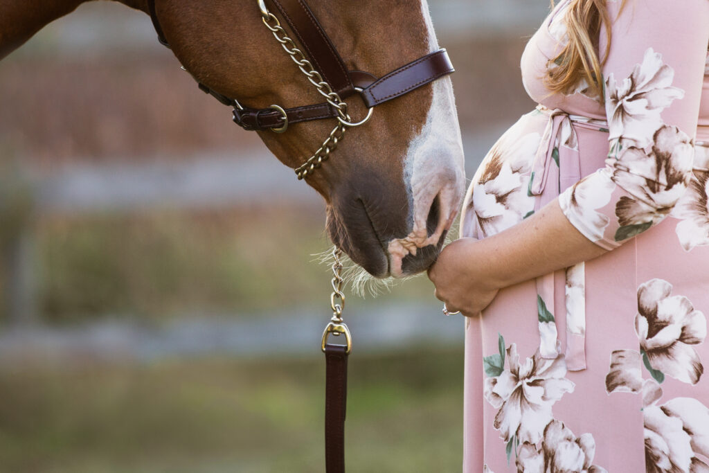 Pregnant woman with horse, representing maternity leave in equine practice. 
