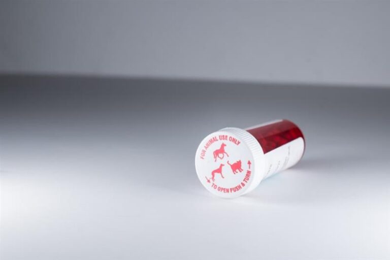 AdobeStock_376269709