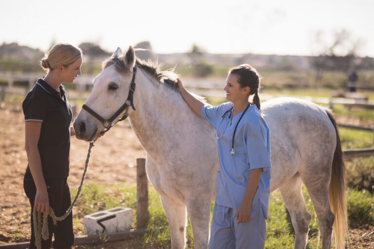 Jockey talking to vet while standing by horse at barn