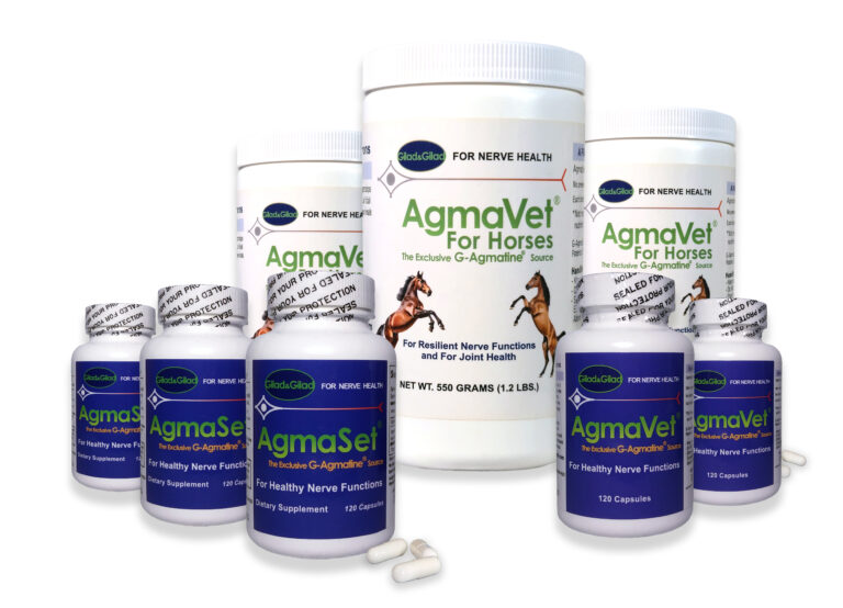 agmavet_%2B_agmaset_bottles_v3-1_(10-2025)