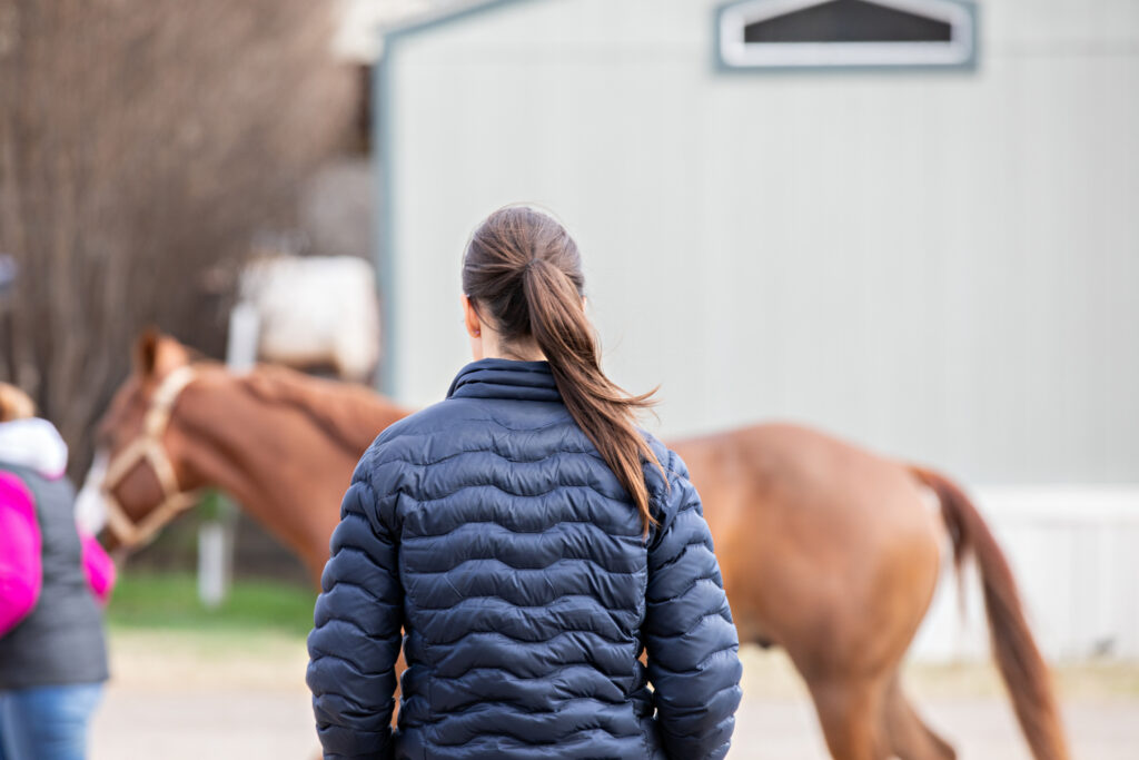 Veterinarian watching a horse trot during a prepurchase exam. 