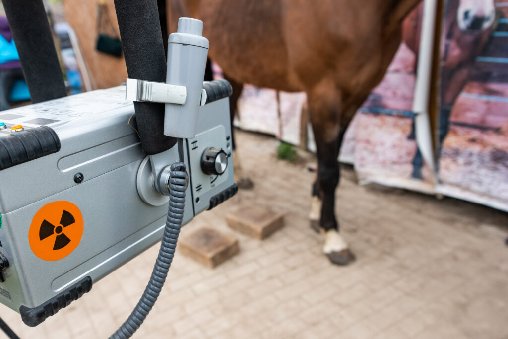 X-ray machine with horse in background