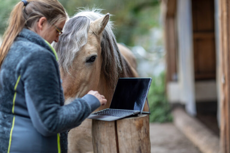 Horse owner as digital online clients: A laptop in front of blurred horse and owner paddock scene, consulting online advice and online shopping as horse owner