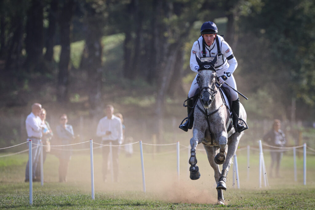 Eventing horse galloping during cross country. 
