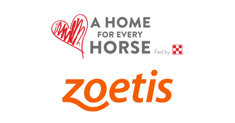 AHFEH Zoetis