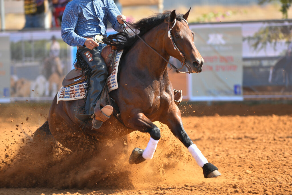 Western performance horse performing a sliding stop during a reining event. 