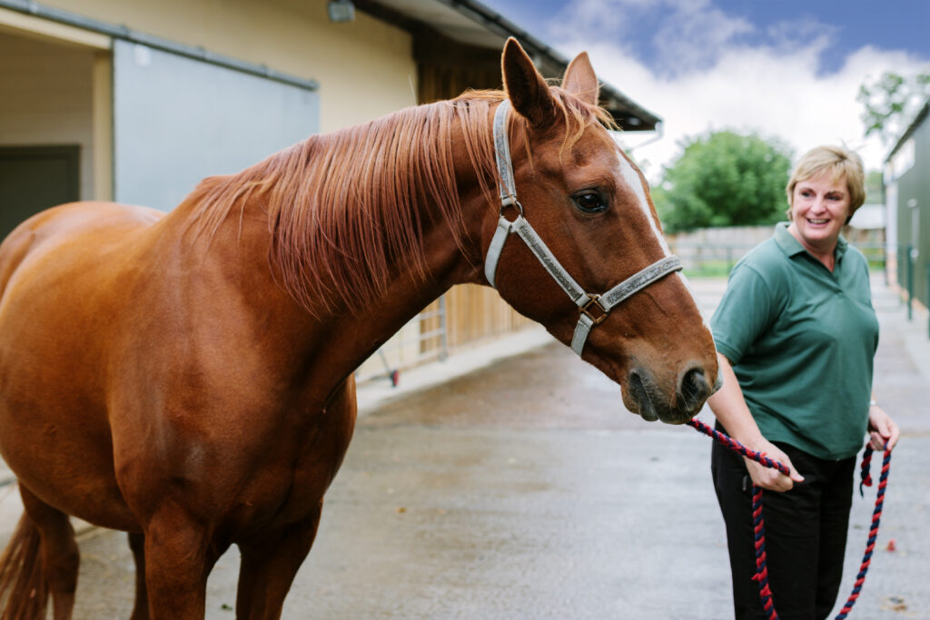 Equine veterinarian leading a horse. 