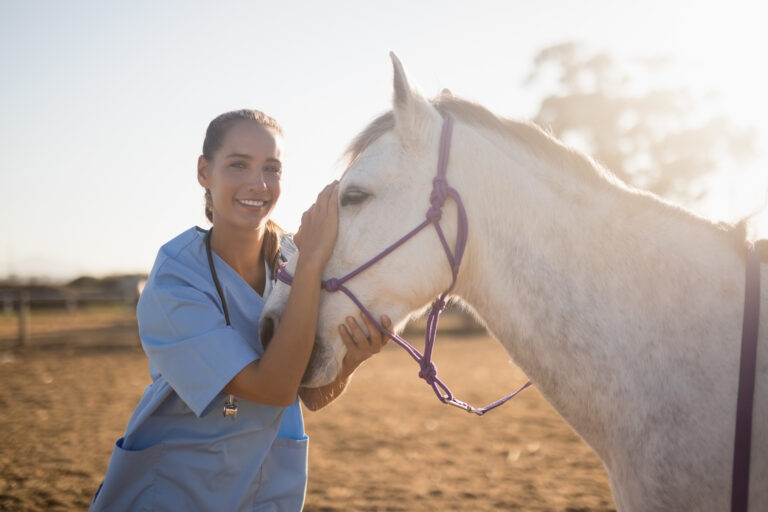 Smiling female vet stroking horse at barn