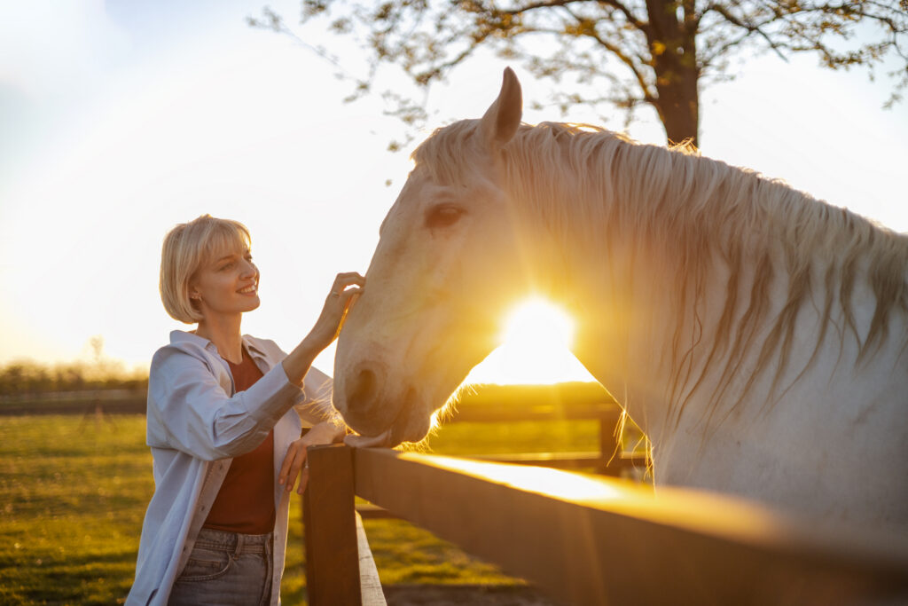 Woman scratching a horse's face during a sunset. 