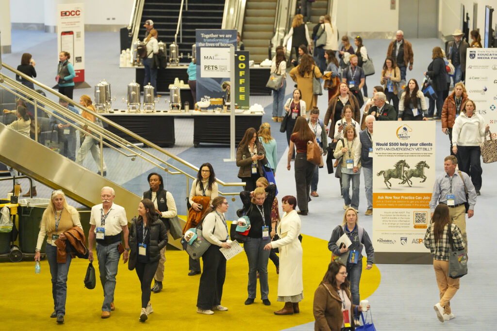 Veterinarians at the AAEP Convention. 