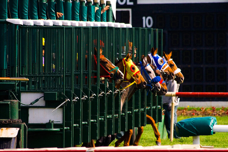 Horse Race Start