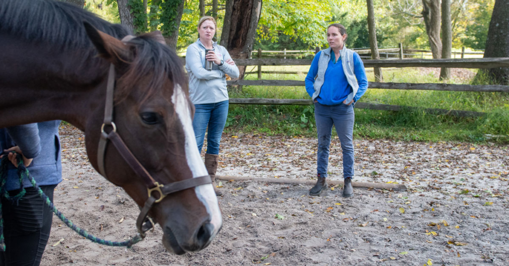 Veterinarian performing a lameness exam on a horse. 