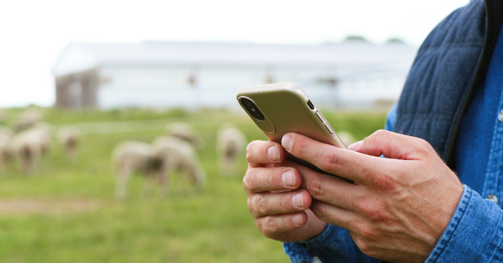 Veterinarian sending a text message on a smartphone. 